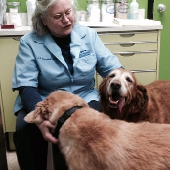 Willow Creek Veterinary Center - Veterinarians Near Me - Reading, Pennsylvania