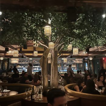 Catch - Sushi Bars Near Me - Dallas, Texas Catch - Sushi Bars Near Me - Dallas, Texas