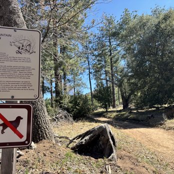 Stonewall Peak Trail - Parks Near Me - Descanso, California Stonewall Peak Trail - Parks Near Me - Descanso, California