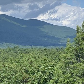 Cutting Edge Tree Service - Tree Services Near Me
