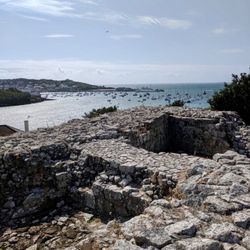 Harry’s Walls - Bastion, Harry's Walls