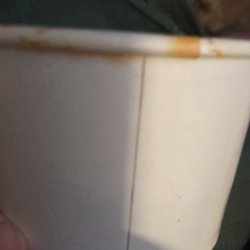 Just over half full, an extra dollar(I just wanted the normal sized container) of chili