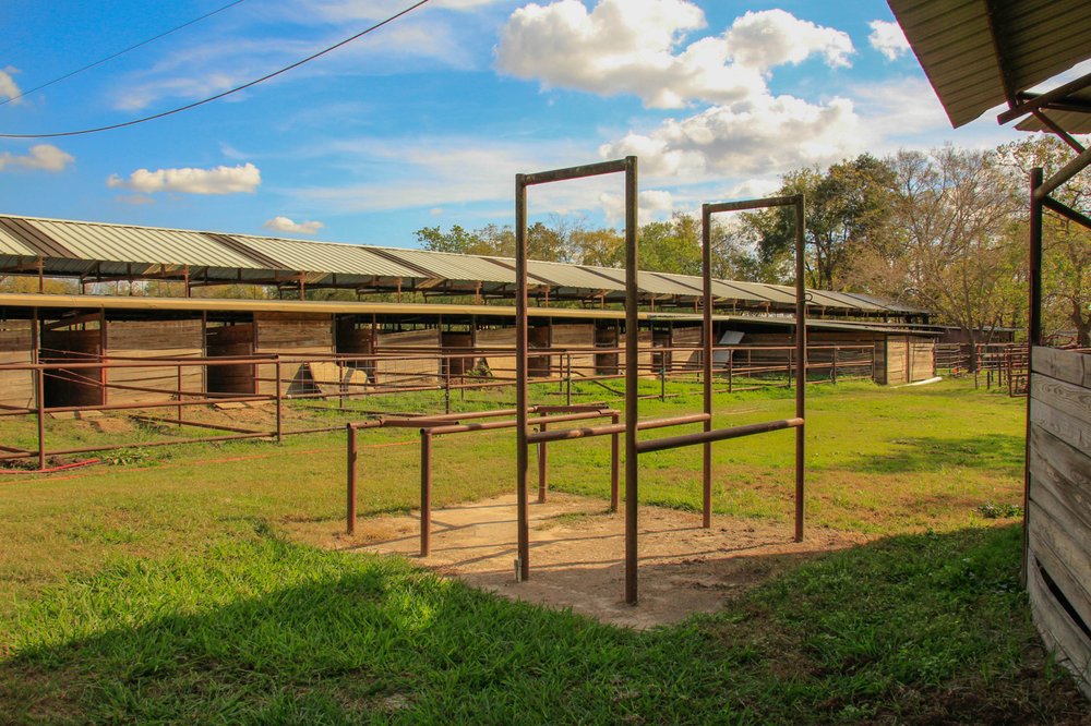 MOSS PERFORMANCE HORSES Updated October 2024 12300 W Dr, Cypress