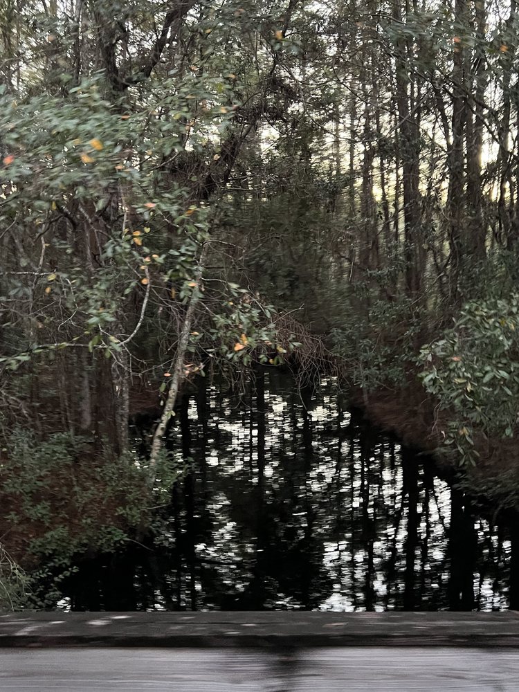 WENDY T COOK EXP REALTY Contact Agent Jekyll Island,