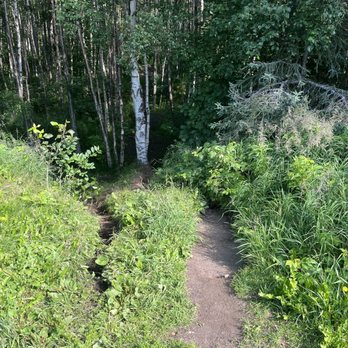 Earthquake Park - Parks Near Me - Anchorage, Alaska