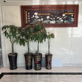Pacific Palace - Dim Sum Near Me - Brooklyn, New York Pacific Palace - Dim Sum Near Me - Brooklyn, New York