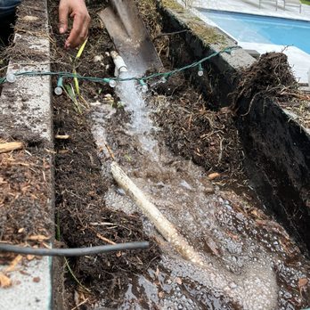 E & M Tree Specialists - Found our broken irrigation pipe - Tree Services Near Me E & M Tree Specialists - Found our broken irrigation pipe - Tree Services Near Me