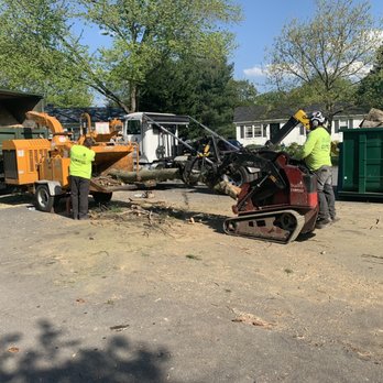 Broadleaf Grounds Works - two men working on a tree - Tree Services Near Me - Gaithersburg, Maryland