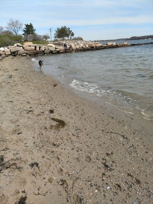 East End Beach by null