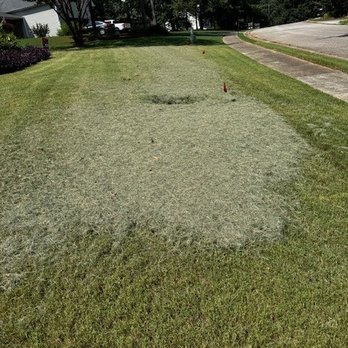 Gentry & Sons Lawn Management - Lawn, mowed, not blown off - Gutter Services Near Me Gentry & Sons Lawn Management - Lawn, mowed, not blown off - Gutter Services Near Me