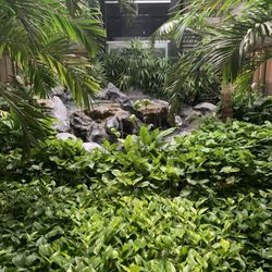 Bartzokis, Thomas, MD - Atrium area outside office entrance. Tranquil.