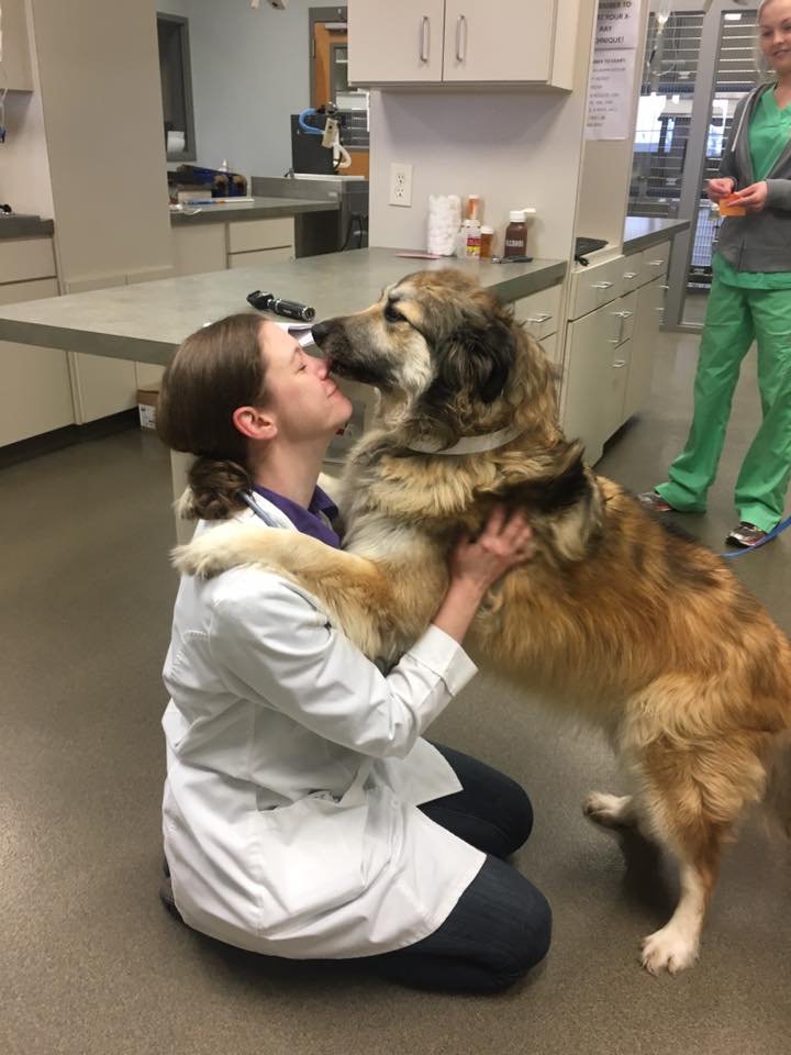 GOODWIN ANIMAL HOSPITAL AT ATLANTA HIGHWAY Updated October 2024 81