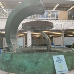MSU Library - 3rd floor fountain
