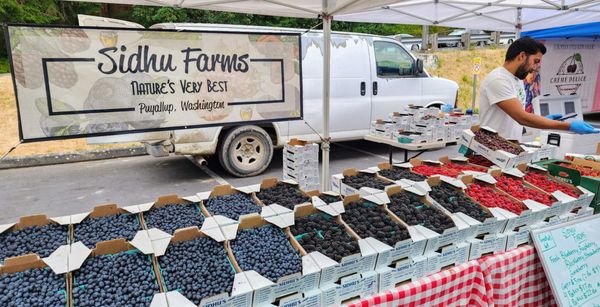 Shoreline Farmers Market by null