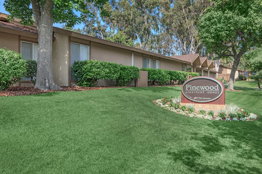 PINEWOOD APARTMENTS Updated September 2024 43 Photos & 26 Reviews