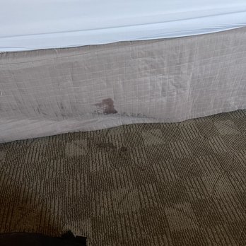Hampton Inn & Suites Salinas - blood or urine stain that was there when we checked in-gross - Hotels Near Me - Salinas, California Hampton Inn & Suites Salinas - blood or urine stain that was there when we checked in-gross - Hotels Near Me - Salinas, California