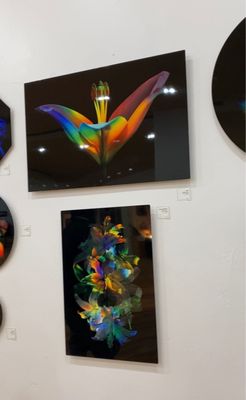 Urban Arts Gallery by null