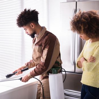 Enviro NYC - Pest control and customer service - Pest Control Near Me Enviro NYC - Pest control and customer service - Pest Control Near Me