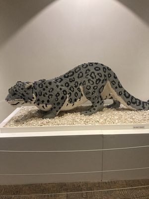 RMSC (Rochester Museum & Science Center) by null