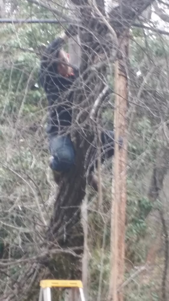 Slide of Coles Cleaning Services