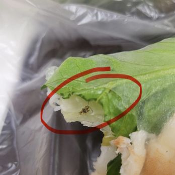 Springly - Spring roll-Roach found - Vietnamese Near Me - Fresno, California Springly - Spring roll-Roach found - Vietnamese Near Me - Fresno, California