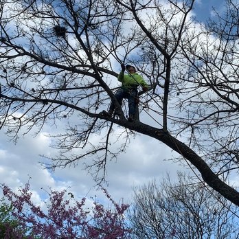 1. Heartwood Tree Service
