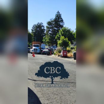 CBC Tree Service - Large truck for any tree side project. - Tree Services Near Me CBC Tree Service - Large truck for any tree side project. - Tree Services Near Me