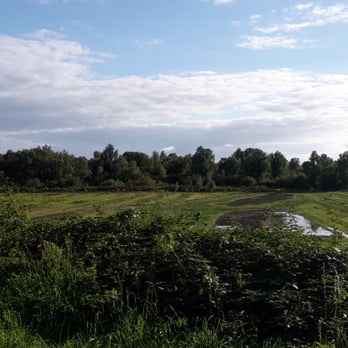 Lepelaarplassen - Parks Near Me - Almere, Florida
