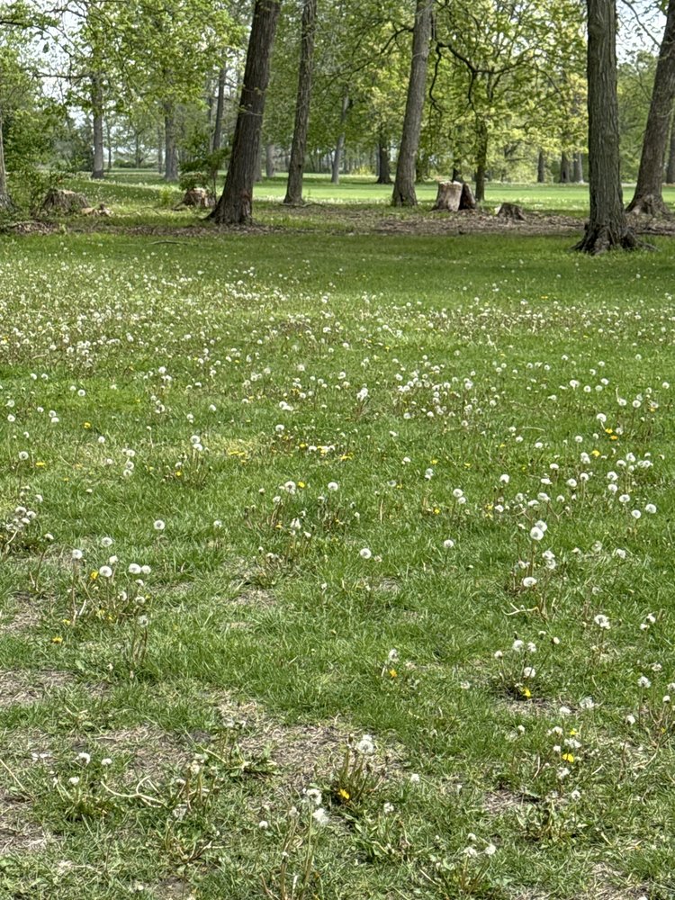 Social spots from Gibson Woods Golf Course