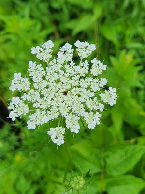 South Mountain Reservation by null
