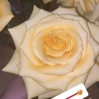 Las Flores De La Carreta - Florists Near Me - Miami, Florida