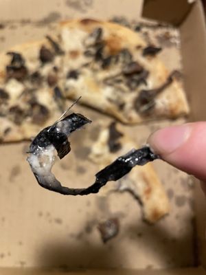 Cafe Gratitude by null Cafe Gratitude by null