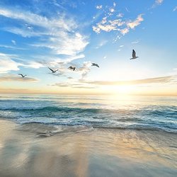 Paradise Kauai Mobile Massage - Peaceful aloha of Kauai welcomes you