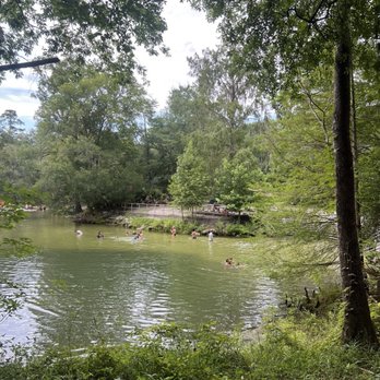 Poe Springs Park - Parks Near Me - High Springs, Florida