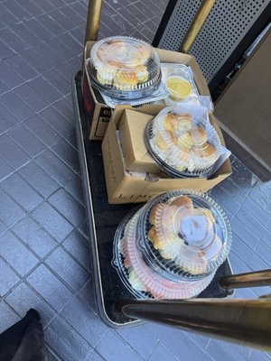 Manhattan in the Desert by null