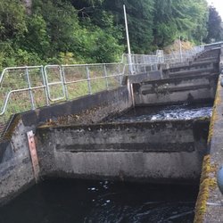 salmon fish ladder - The ladder- a close up