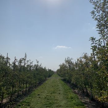 Jonamac Orchard - Fruits & Veggies Near Me - Malta, Illinois