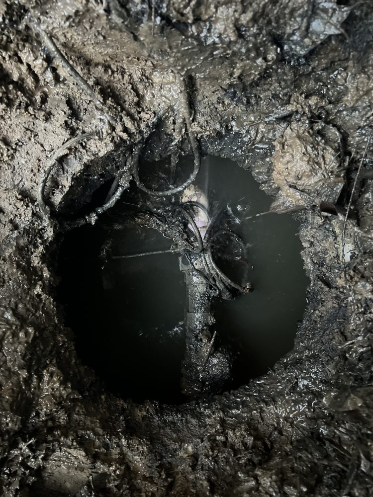 Slide of Septic Response