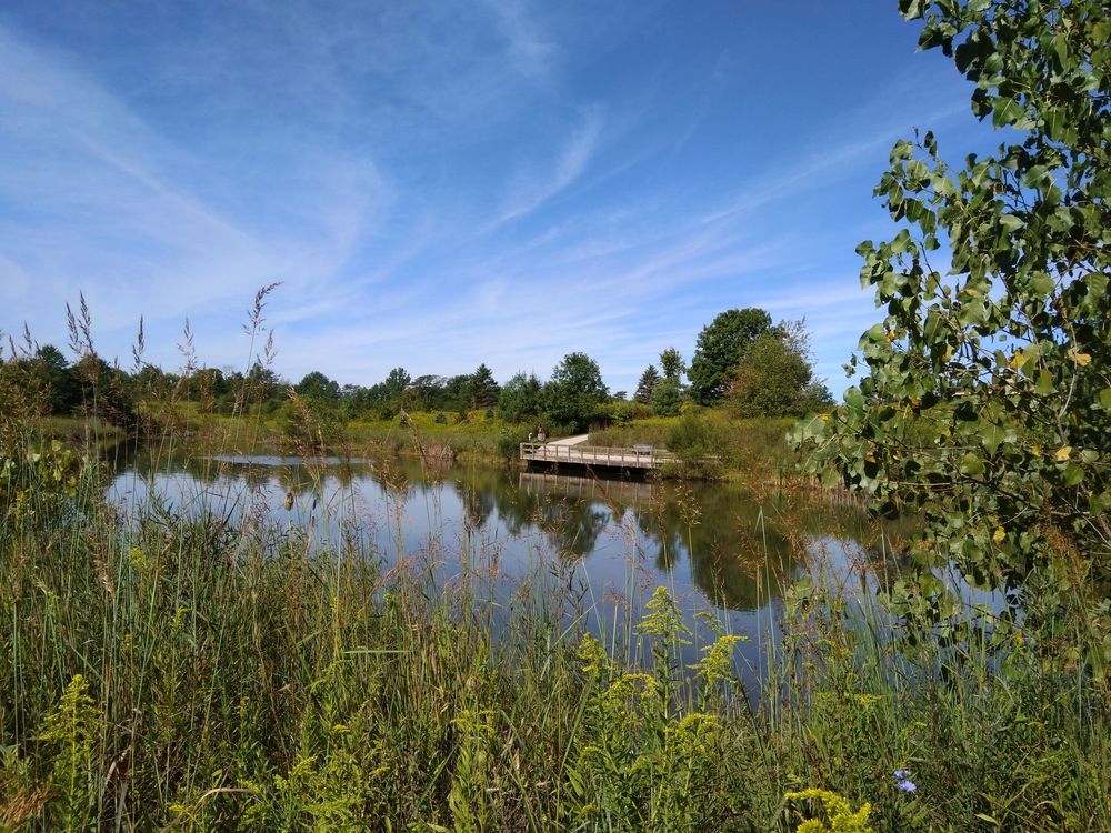 BLUES CREEK PARK Updated August 2024 17 Photos 9627 Fontanelle Rd