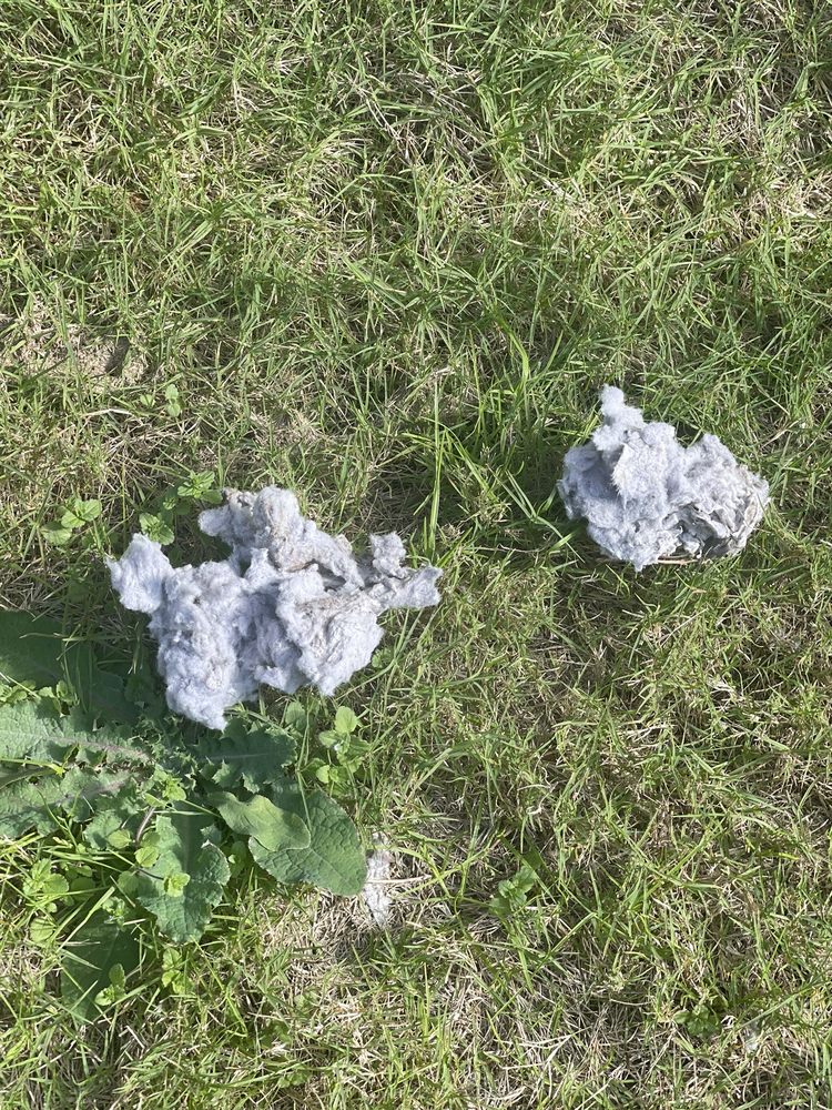 Right Angle Inspection - mold inspector in Canyon Lake, TX