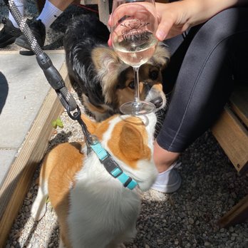Glen Arbor Wines - Wine Tasting Room Near Me - Glen Arbor, Michigan