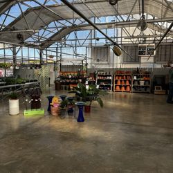 Eckert’s Cider Shed - Inside store