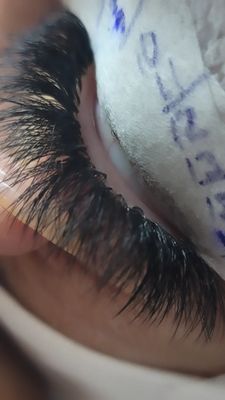 Virtue Lash by null