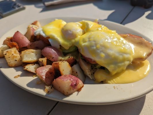Blue Moose Cafe by null