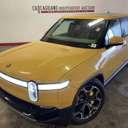 Chicagoland Independent Auction