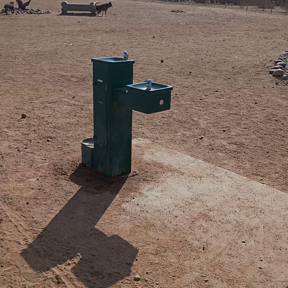 Udall Park - That water fountain - Dog Parks Near Me - Tucson, Arizona