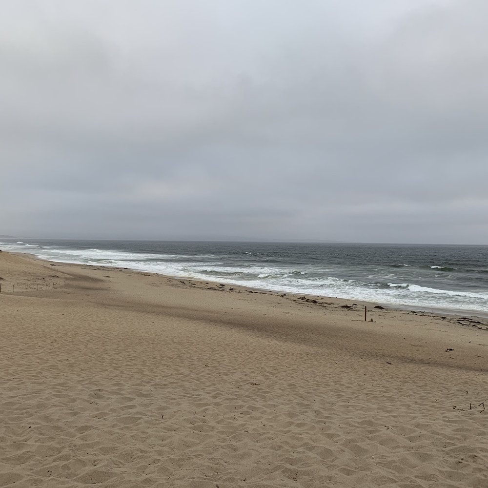Marina State Beach - Beaches Near Me - Marina, California Marina State Beach - Beaches Near Me - Marina, California