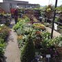 Photo of Brambledown Farm Shop
