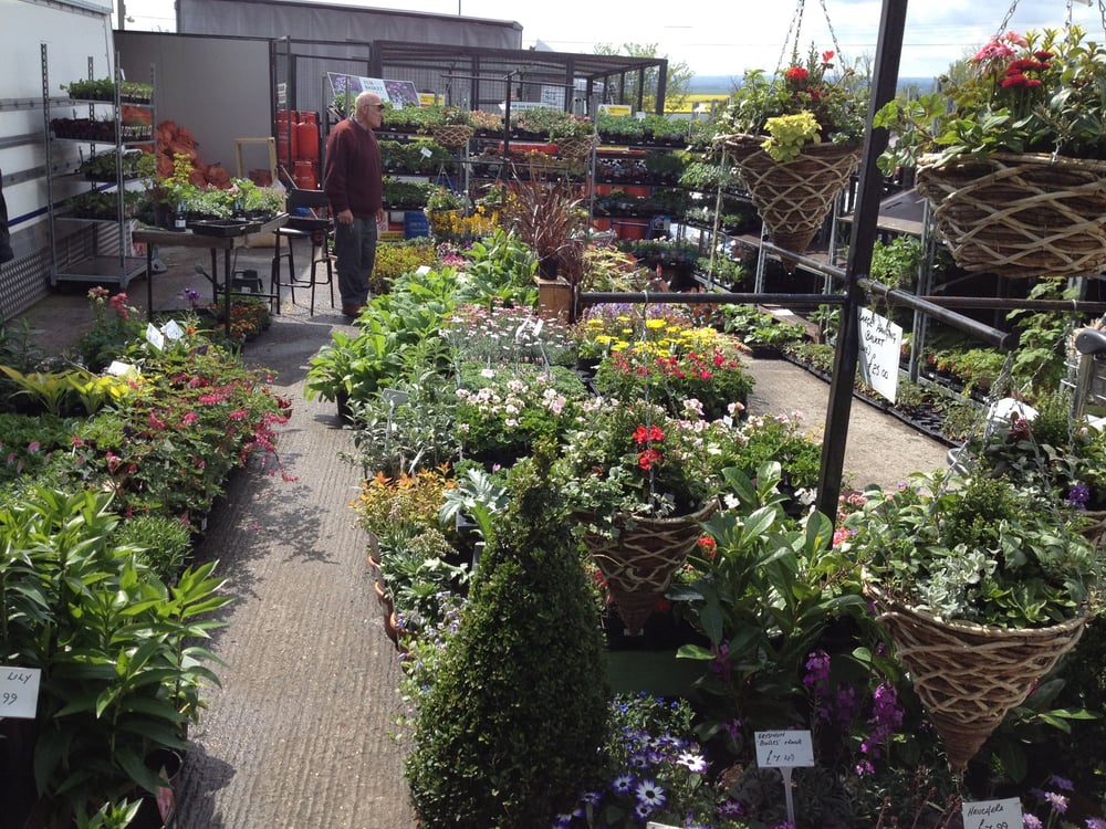 BRAMBLEDOWN FARM SHOP Updated September 2024 Lower Road, Sheerness