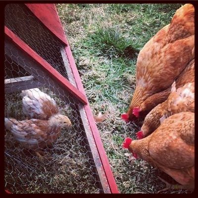 Stinson Vineyards by null